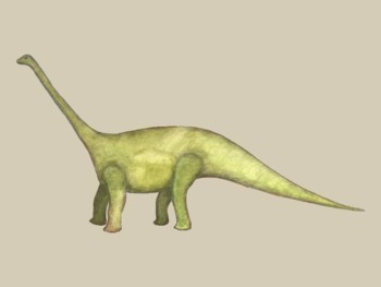 Dinosaur - Cetiosaurus