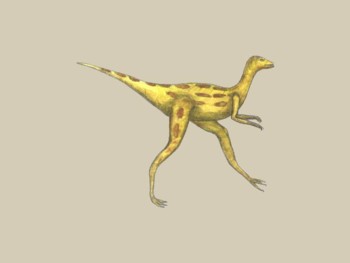 Dinosaur - Compsognathus