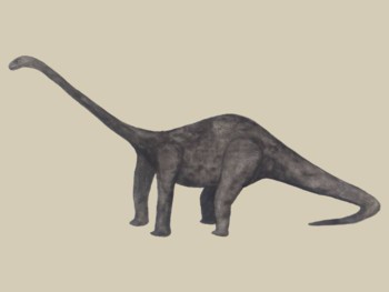 Diplodocus.jpg