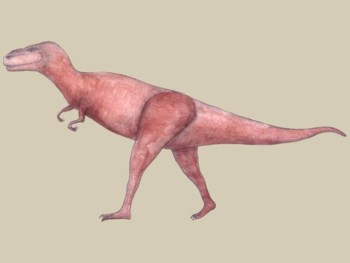 Dinosaur - Giganotosaurus