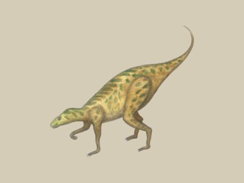 Dinosaur - Heterodontosaurus