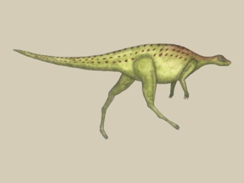Dinosaur - Hypsilophodon