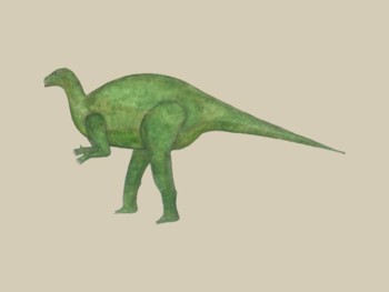 Dinosaur - Iguanodon