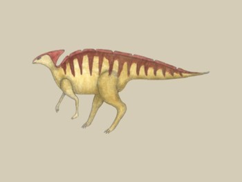 Dinosaur - Parasaurolophus