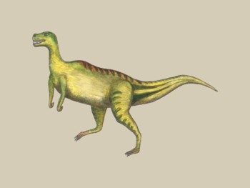 Dinosaur - Proceratosaurus