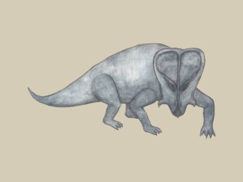 Dinosaur - Protoceratops