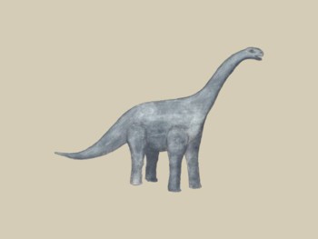 Dinosaur - Rebbachisaurus
