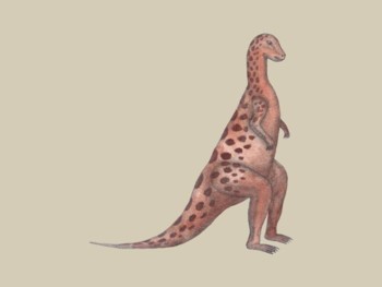 Dinosaur - Stegoceras