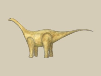 Dinosaur - Titanosaurus