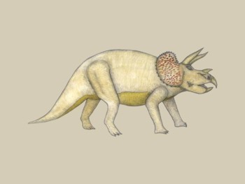 Dinosaur - Triceratops